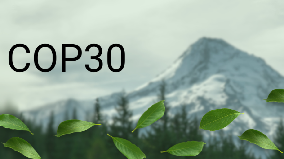 COP 30