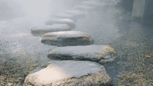 Brendan McManus Patient Trust