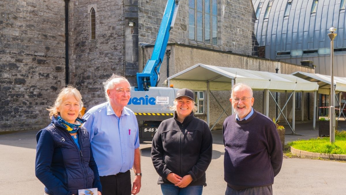 swifts in Galway